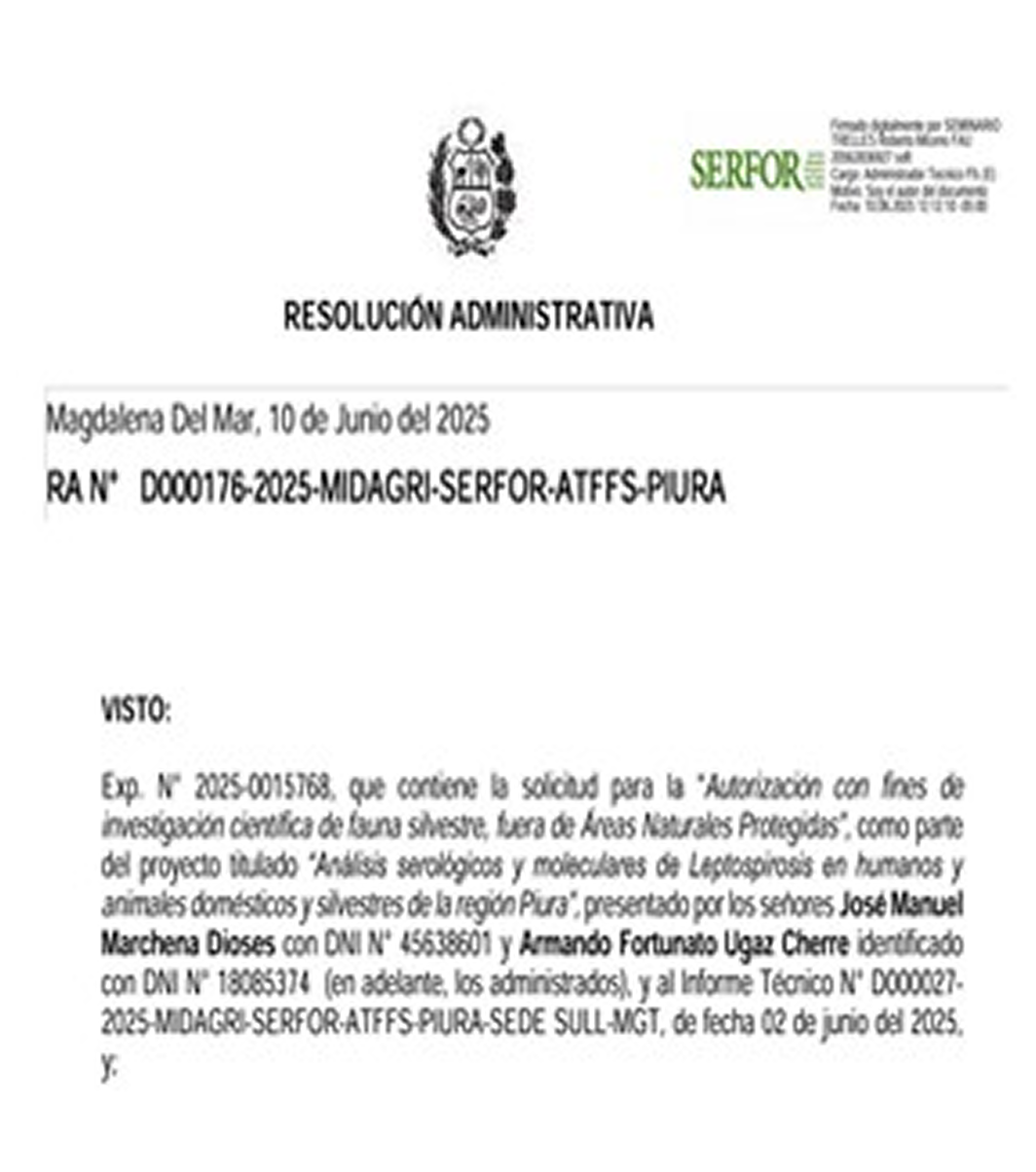 Imagen7