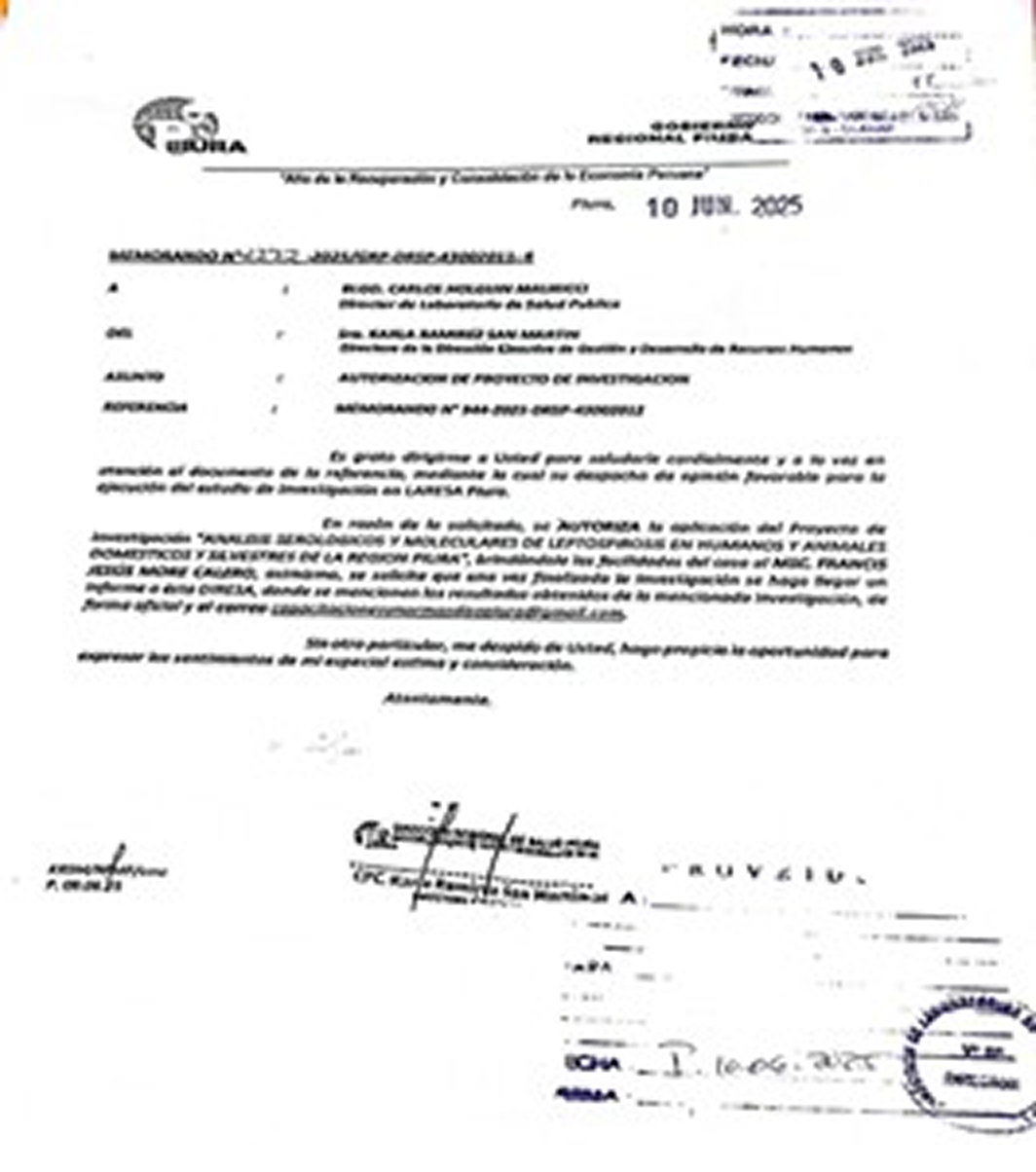 Imagen8